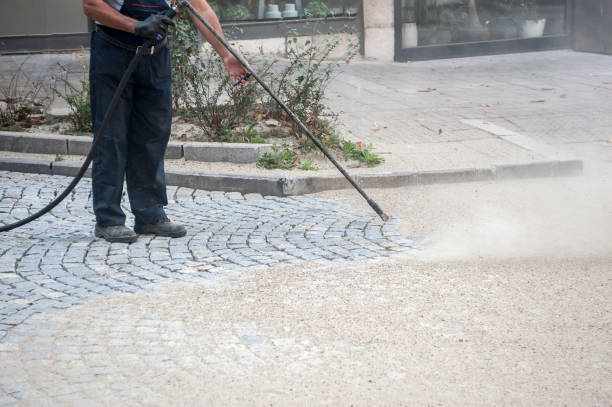 Best Animal Enclosure Cleaning  in Perry Hall, MD