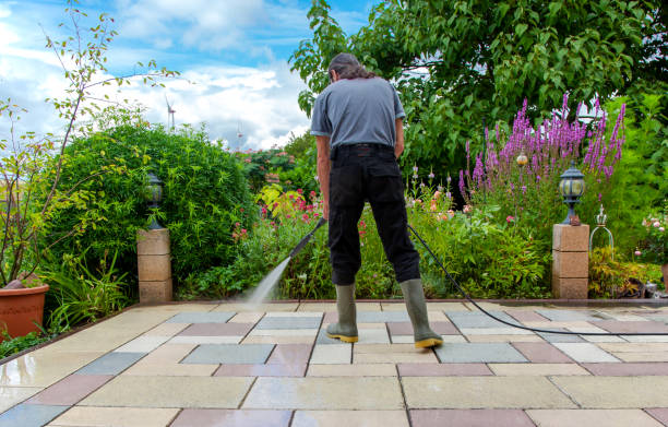 Best Sidewalk and Walkway Cleaning  in Perry Hall, MD